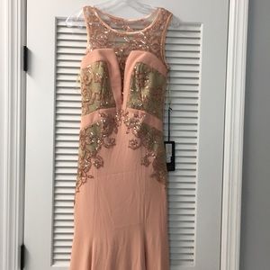 Beautiful Nude Sequin Gown